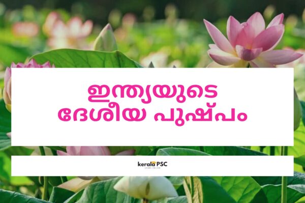 ഇന്ത്യയുടെ ദേശീയ പുഷ്പം psc