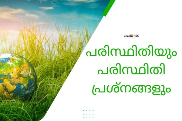 environment