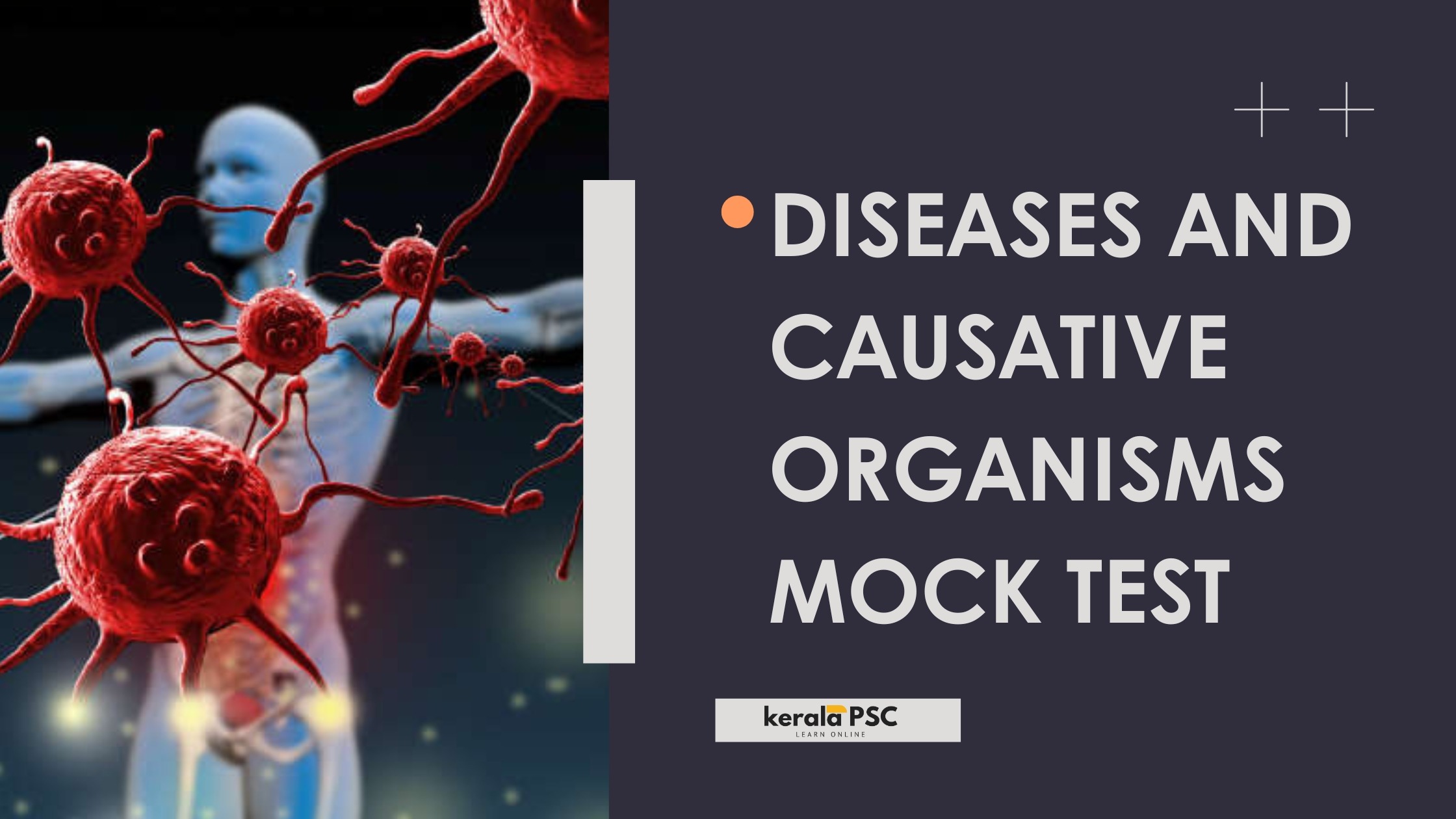 mock test