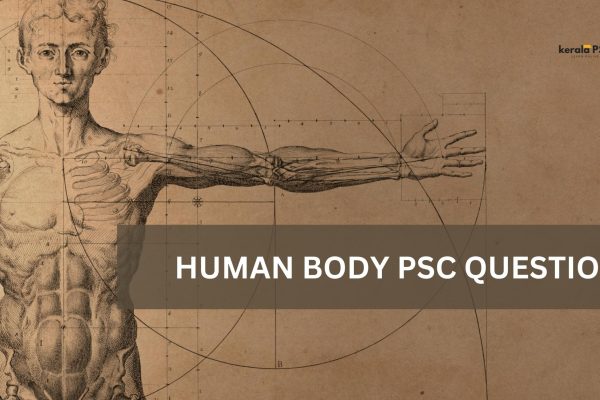 human body