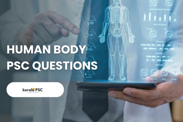 human body