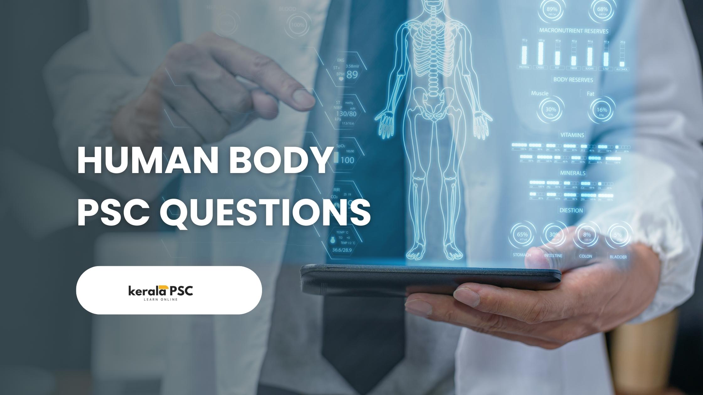human body