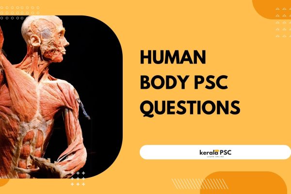 human body