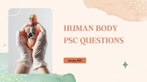 human body