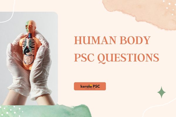 human body
