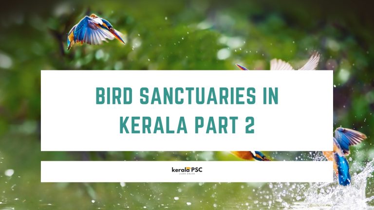 Bird Sanctuaries In Kerala Part 2