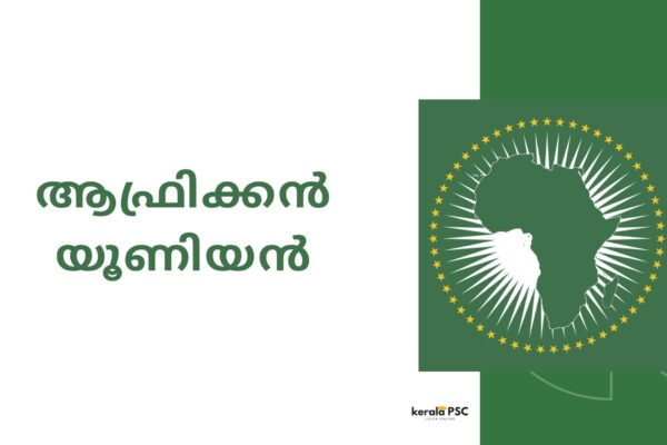 african union