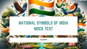 mock test