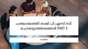 പഞ്ചായത്തി രാജ്