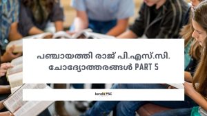 പഞ്ചായത്തി രാജ്